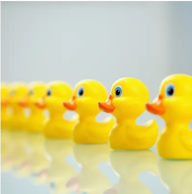 Yellow rubber ducks in orderly row representing workflow organisation