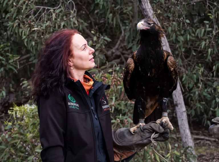 a woman holding a bird of prey in her hand