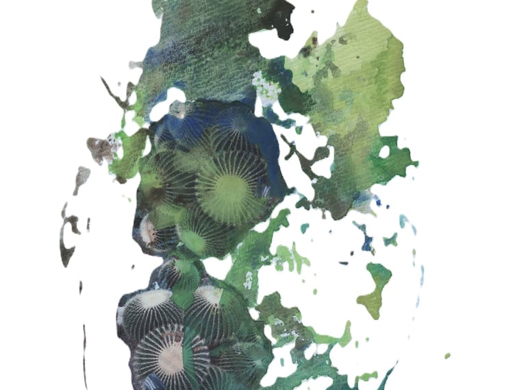 Inspired by nature’s palettes, exploring fluidity and balance in the Sogetsu Ikebana art