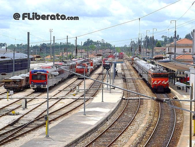 Manugalde Beira Alta 2005