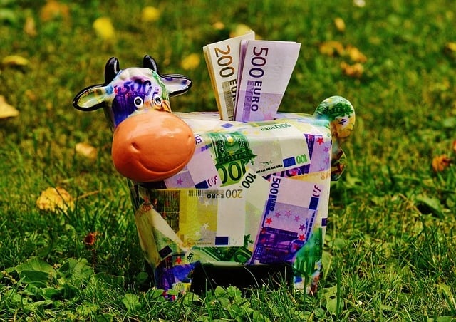 Tirelire en forme de vache tapissée de biilets en euros de 500 et 200 euros