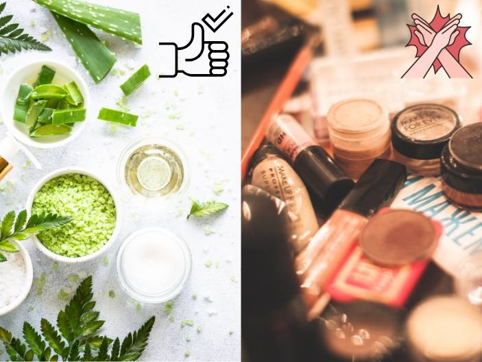 Thành phần nên có và không nên có cho toner da mụn