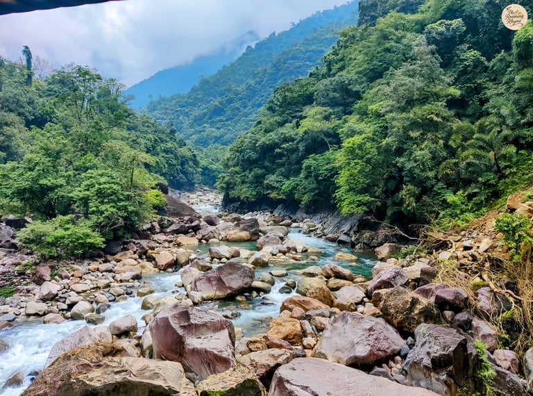 Jungle Trails and Murmuring Streams – En Route to the Double Decker Root Bridge