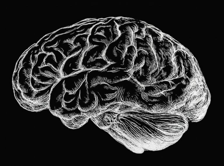 Raw Elements Logo – Minimalistisches Design Spiralvase 19 cm für Pampasgras – minimalistisches Desi