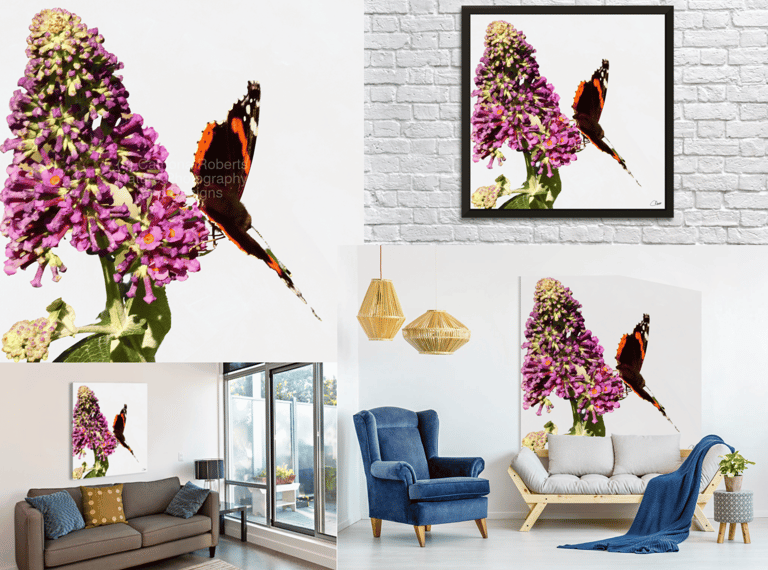 Artistic image of a Butterfly on a Buddleia flower on canvas and art prints. 