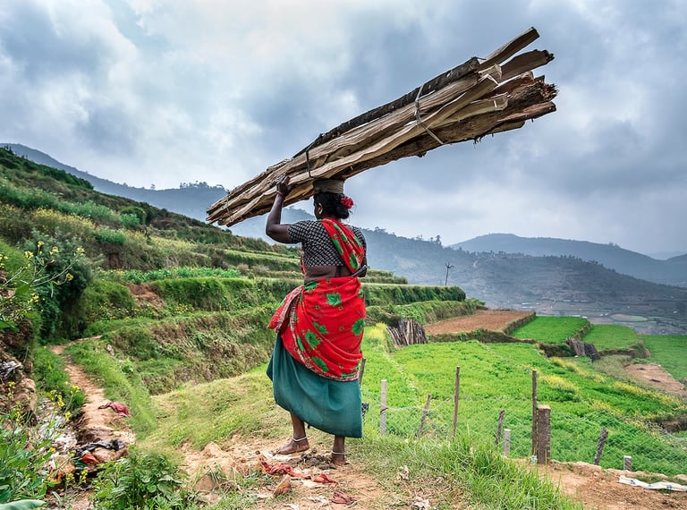 Poombarai terrace farming