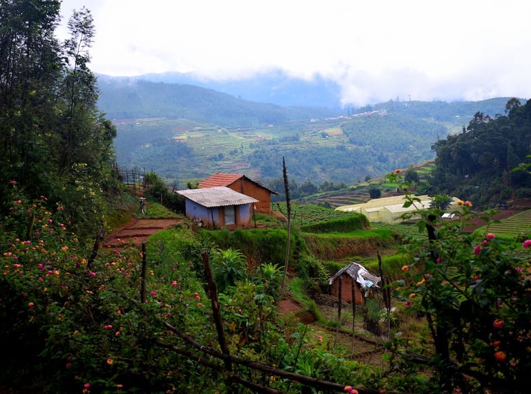 Poondi village