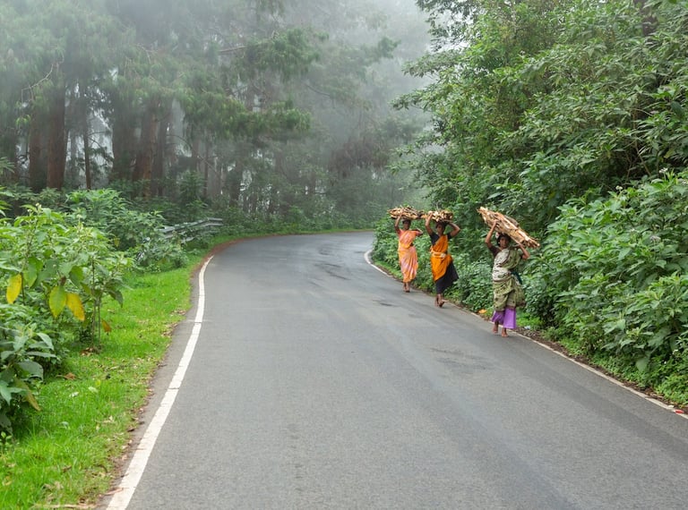 Scenic drive to Polur
