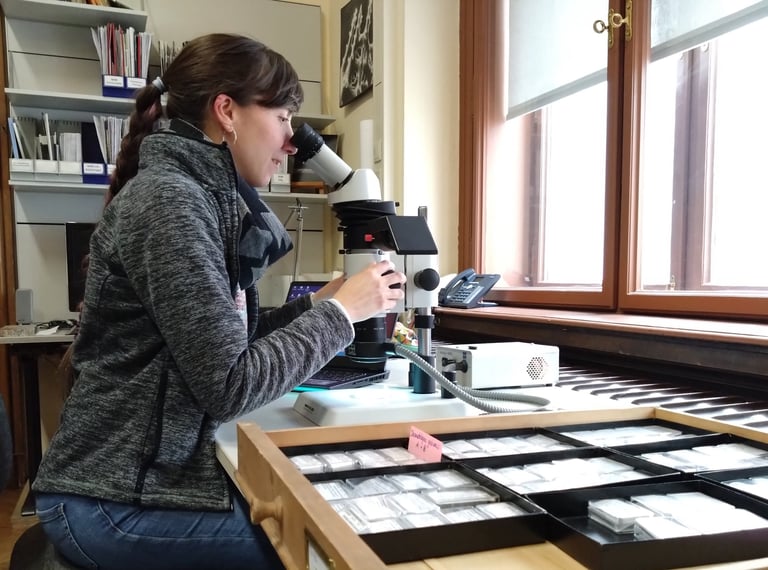 Blanca Moncunill-Solé using a steromicroscope in the Museum of Natural History Vienna (2023)