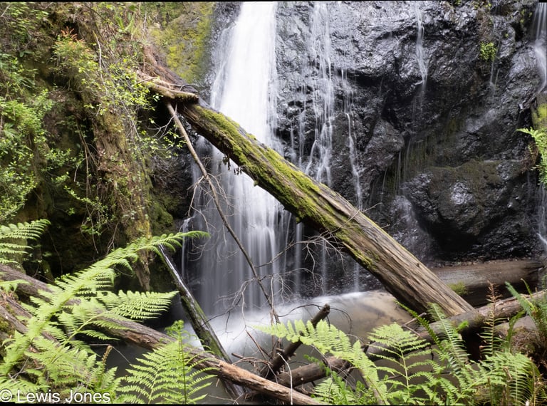 waterfall in the redwoods of Mendocino County