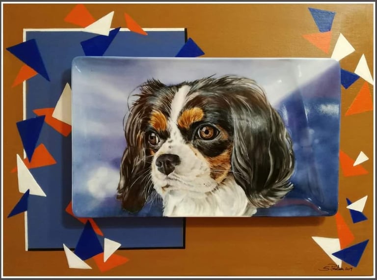 Cavalier king dipinto su porcellana