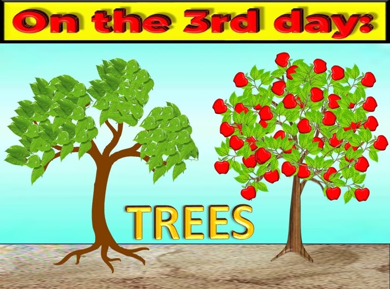 Trees on the 3rd day designed by Debbie Dunn using PowerPoint & Paint
