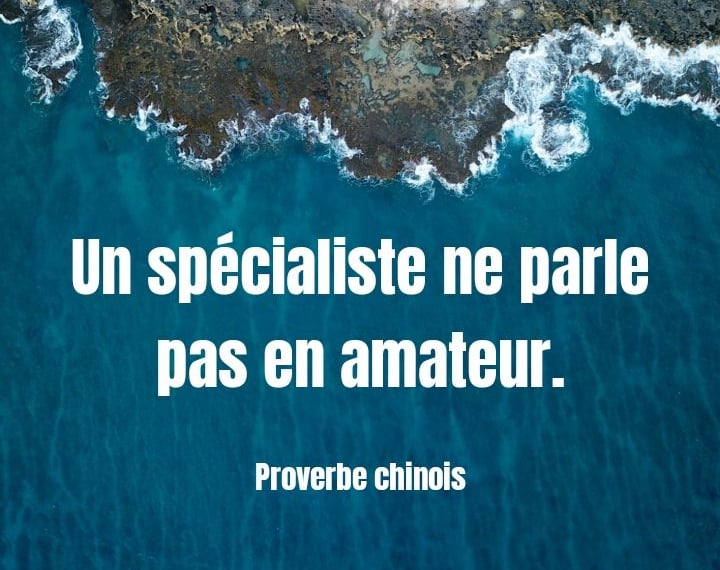 Se spécialiser pour améliorer ses compétences digitales dans un domaine précis