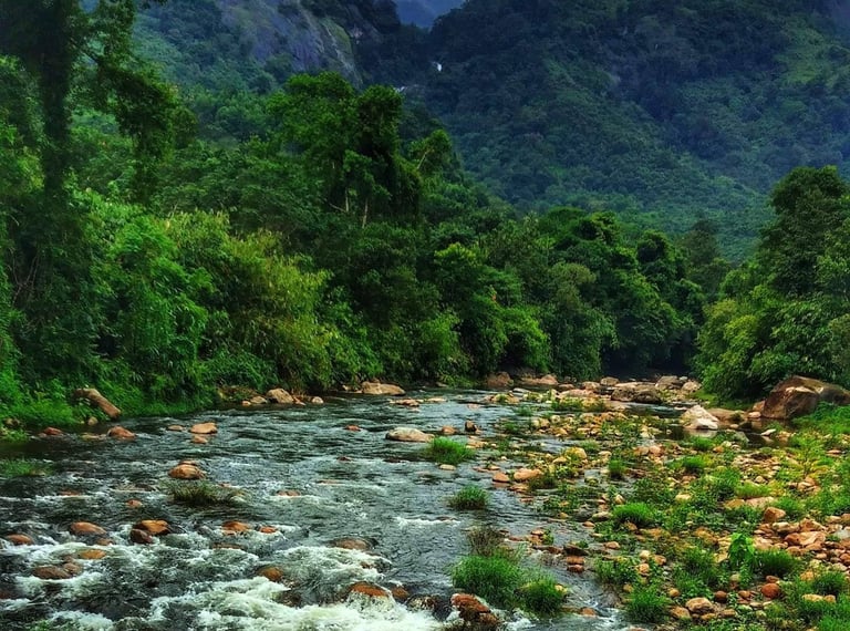 Waterstream at Anakulam