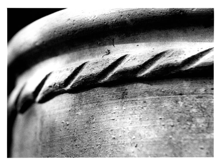 A black and white picture of a garden pot lit with light and shadows in the afternoon. : Slawek Dejneka