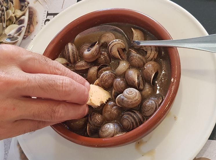 Caracoles Albayzineros - Especialidad Casa Parranda