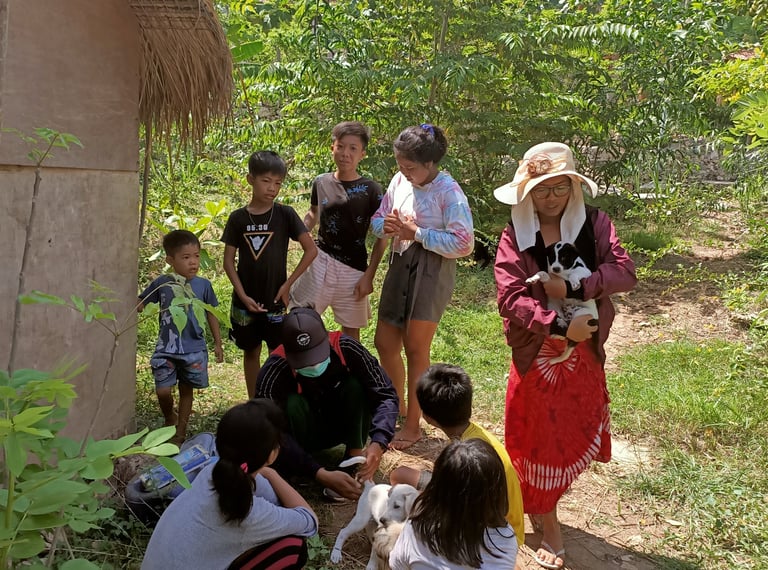 vet, field work, vaccinating dogs, local community, bali dogs