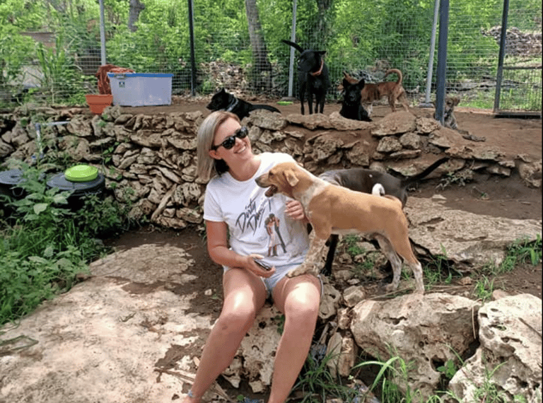volunteer, help, learn, assist, play, dogs, cats