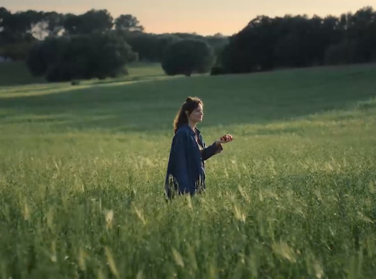 ALDI Frische Campaign 360 platform 