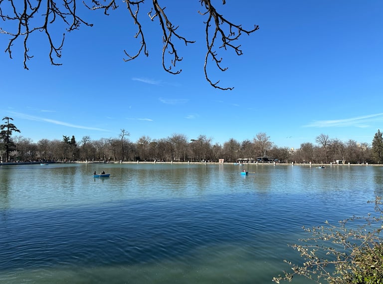 a lake with rowboats on it and a blue sky above