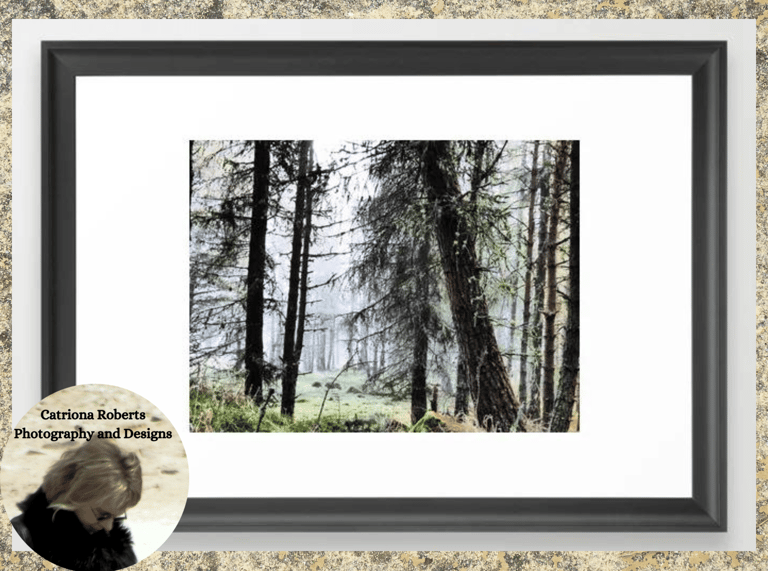 Digital image featuring the Scottish Pine Forest Misty View in I Art and Afterglow Framed Art Print