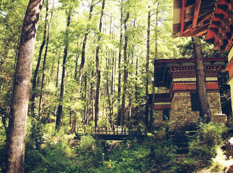 Amazing Bhutan Holidays by Soma Journeys