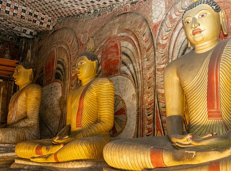 Sri Lanka Holidays by Soma Journeys