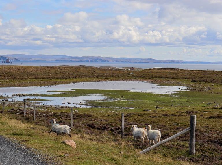 Eshaness Shetland