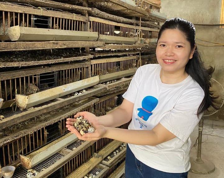 trứng chim cút bóc sẵn Đông Anh, Hà Nội, chim cút thịt, chim câu thịt giá sỉ