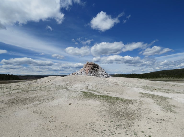 Unerupting