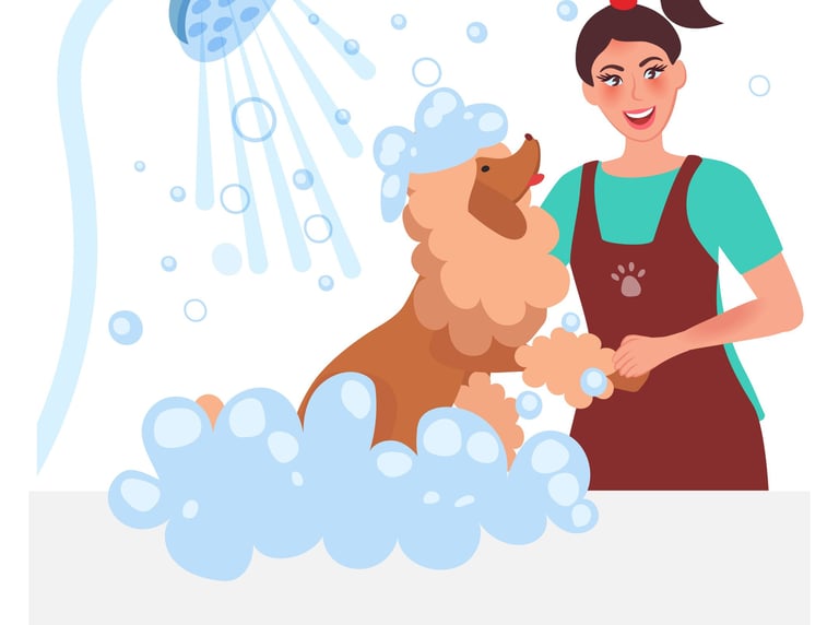 Professional pet groomers Doha