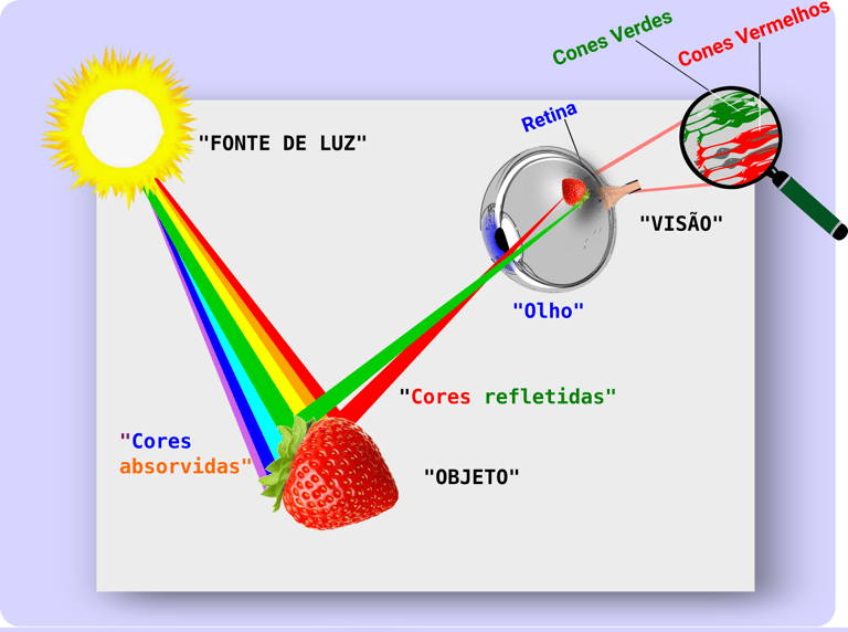 Processo da visão das cores do Objeto, no Olho Humanoreflexão e absorção dos componentes de Luz
