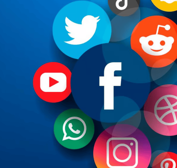 Social Media Coordinator Volunteer. 365 We Thrive.