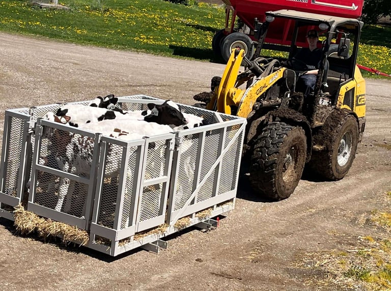 custom steel fabricated calve mover