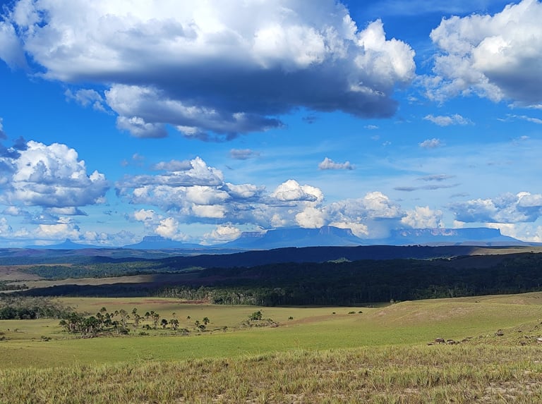 Vue sur les Tepuy de la Gran Sabana