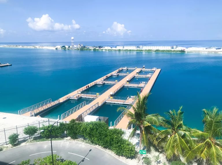 floating deck, pontoon, marina equipment, decking