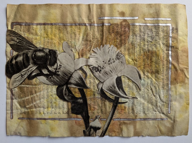 vintage collection - bee