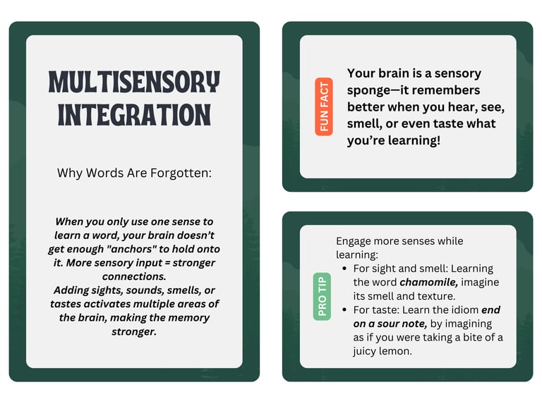 multisensory integration