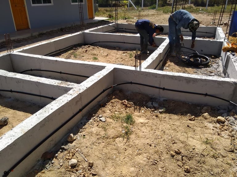 TERMITE PIPING PEST CONTROL SERVICE