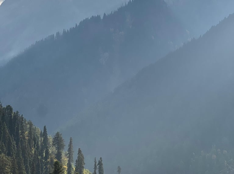 Kashmir Honeymoon Package by Soma Journeys