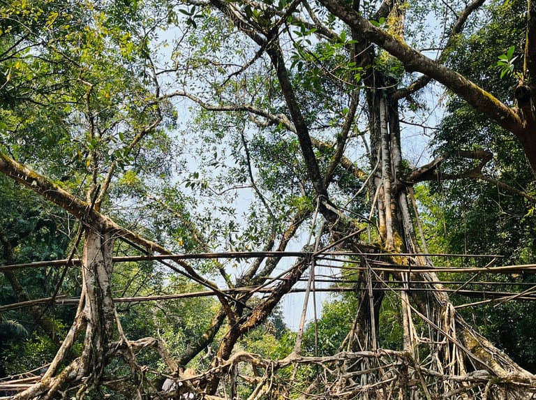 North East India Holidays by Soma Journeys