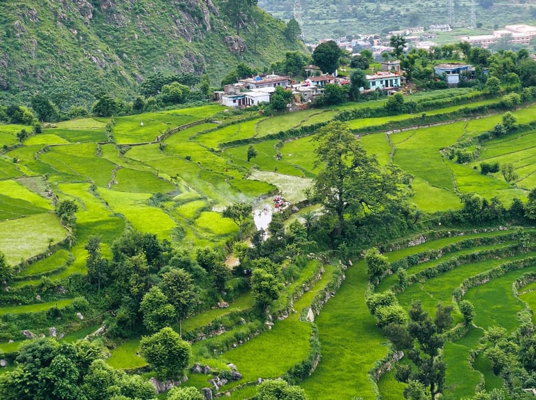 Uttarakhand Holiday Packages by Soma Journeys
