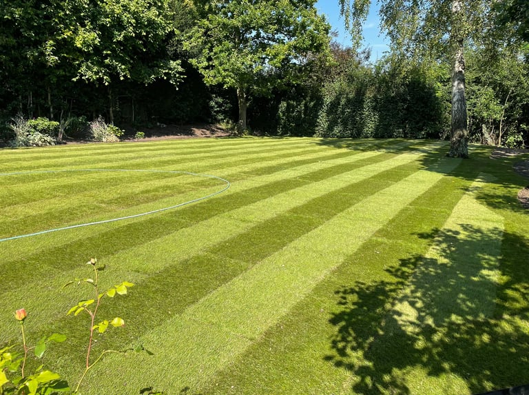 Freshly laid turf - lawton landscapes
