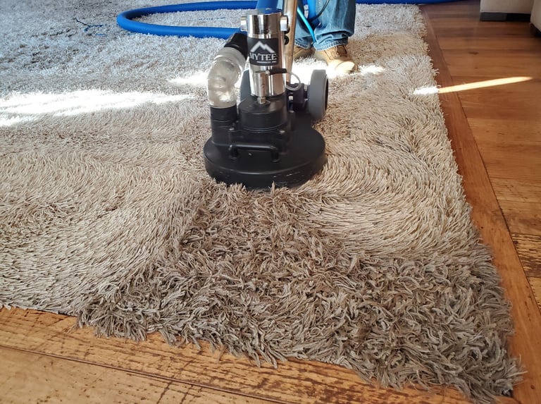 Before & After Photo using the Powerhouse, Organic Carpet Cleaning with King Organic Clean