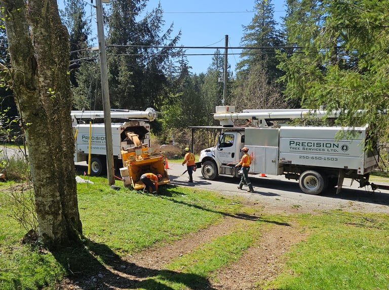 Tree Services