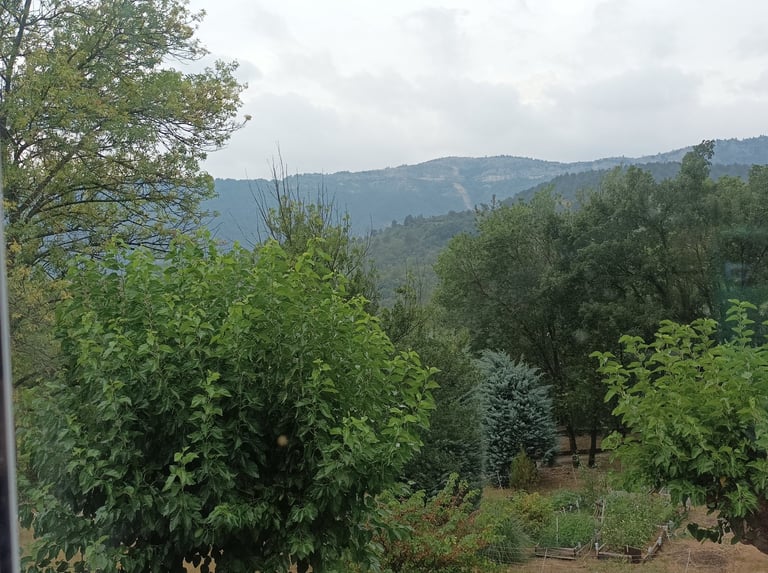 Today's view from the kitchen window