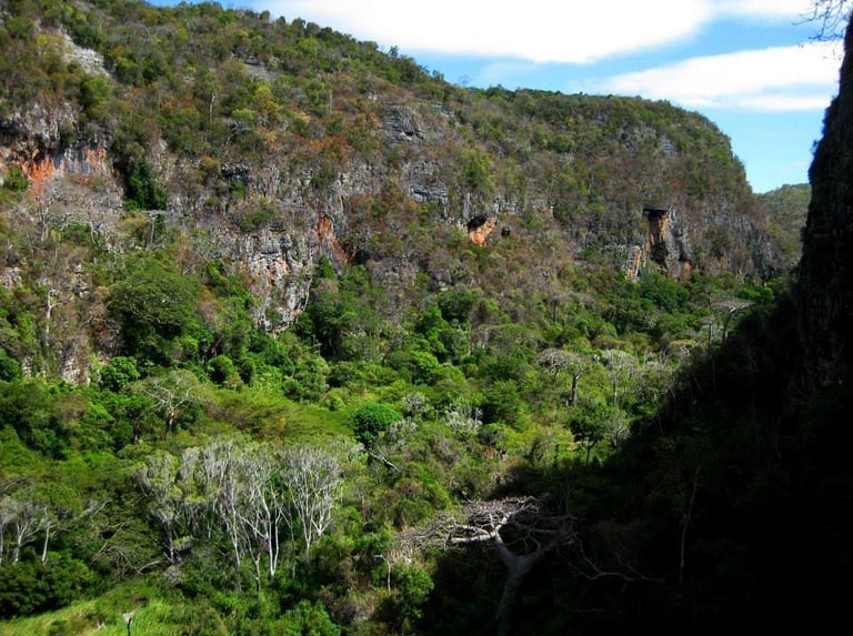 vallée de perroquets