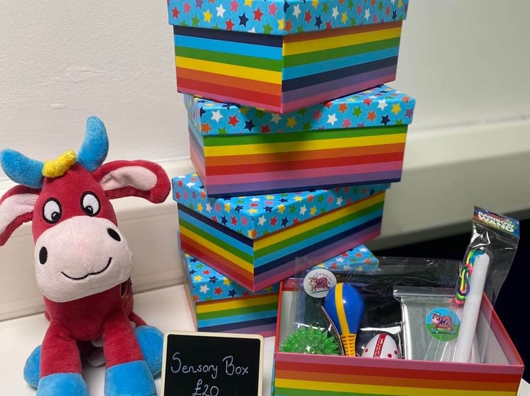 A picture of sensory boxes in the Moo room, with the price stating £20.