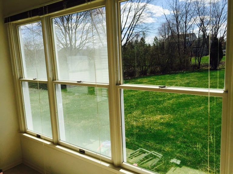 Avant/après nettoyage de fenêtre - Vue sur jardin avec vitres sales et propres Cleanwave
