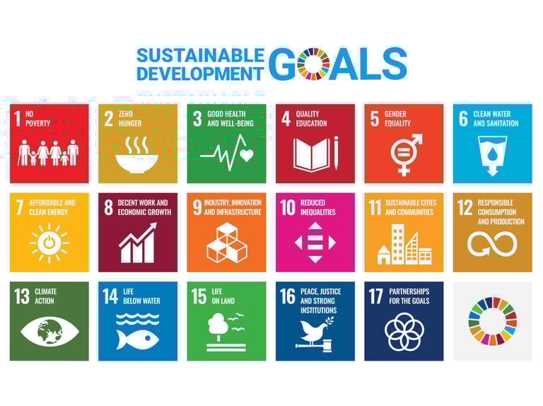 Sustainable Development Goals UN